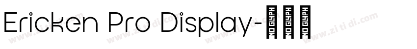 Ericken Pro Display字体转换